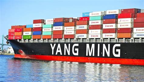 YangMing Marine Transport Corp..